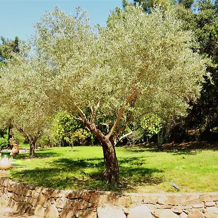 Casa Del Sole D'hotes De Charme
