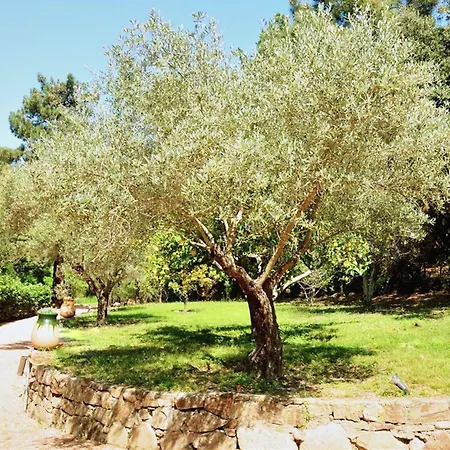Pensionat Casa Del Sole D'hotes De Charme Favone