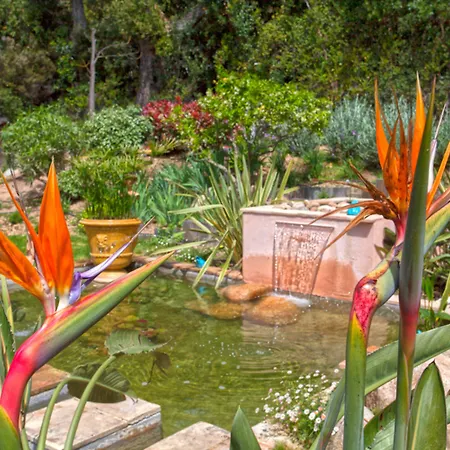 Pensionat Casa Del Sole D'hotes De Charme Favone