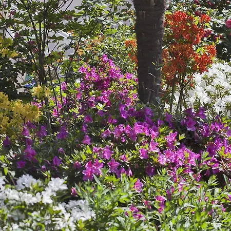 Pensionat Casa Del Sole D'hotes De Charme