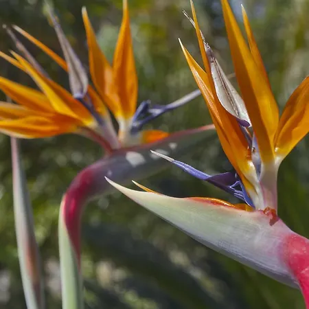 Casa Del Sole D'hotes De Charme Favone