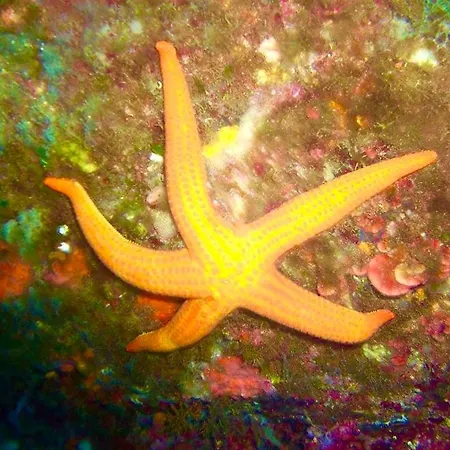 Casa Del Sole D'hotes De Charme Pensionat 4*