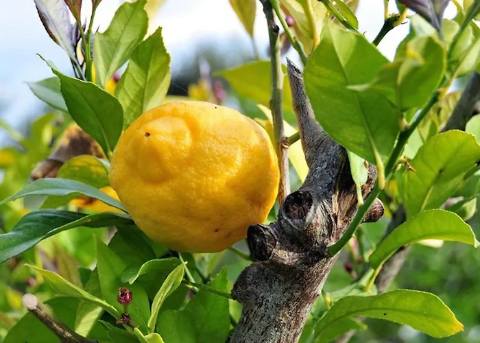 Gasthof Casa Del Sole D'hotes De Charme Favone