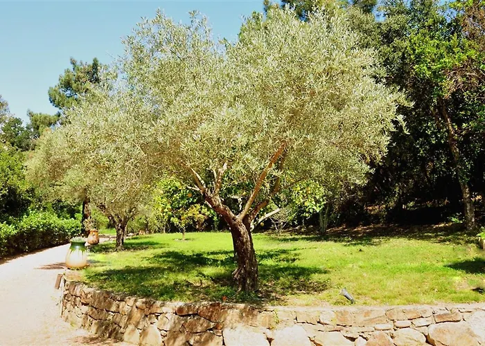 Casa Del Sole D'hotes De Charme