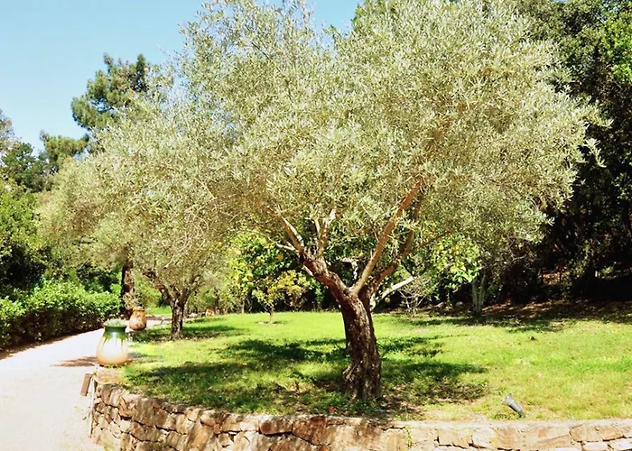 Gasthof Casa Del Sole D'hotes De Charme Favone