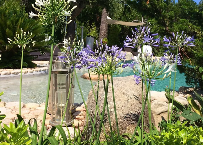 Casa Del Sole D'hotes De Charme Gasthof Favone