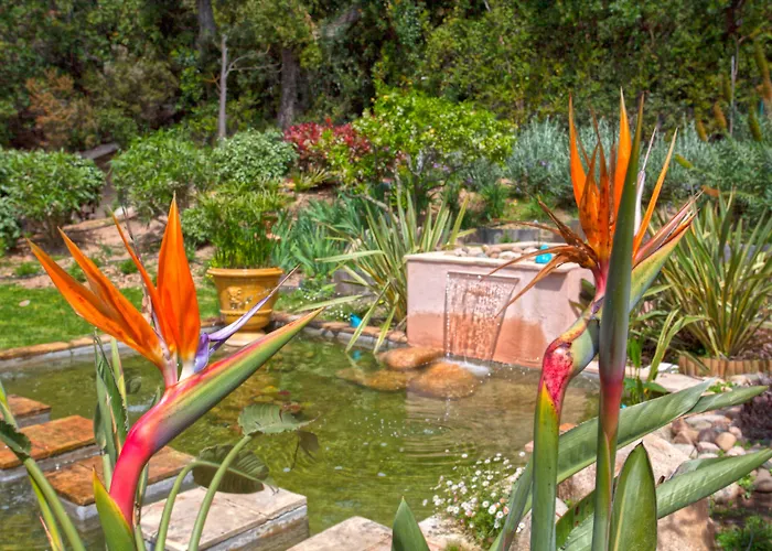 Konukevi Casa Del Sole D'hotes De Charme Favone