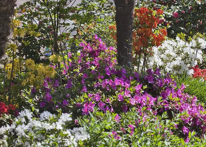 Konukevi Casa Del Sole D'hotes De Charme