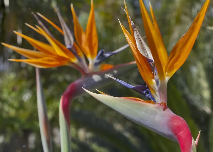 Casa Del Sole D'hotes De Charme Favone