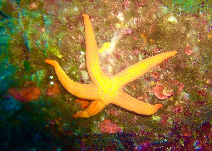 Casa Del Sole D'hotes De Charme Konukevi 4*