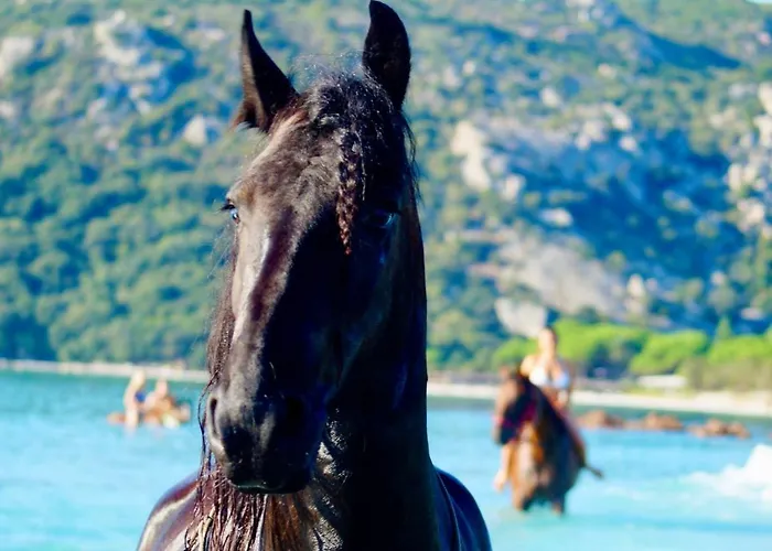 Casa Del Sole D'hotes De Charme 4*